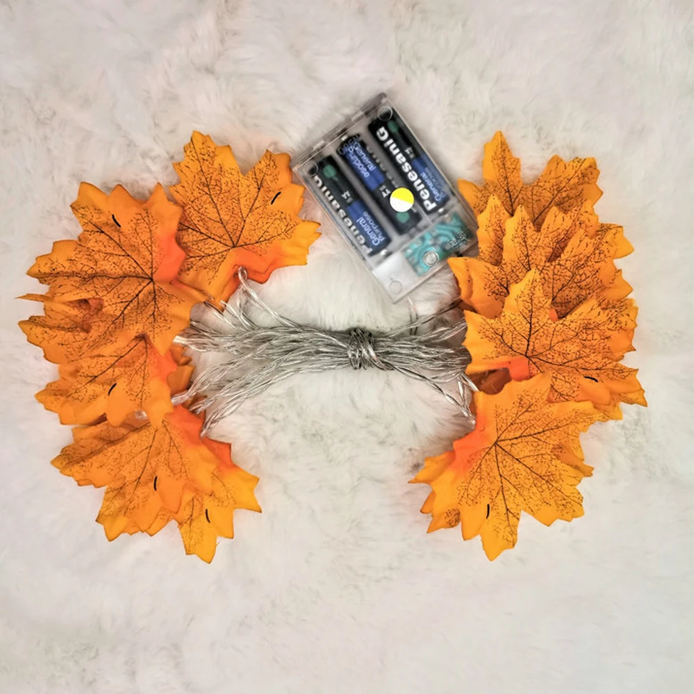 11646073882_1099349780