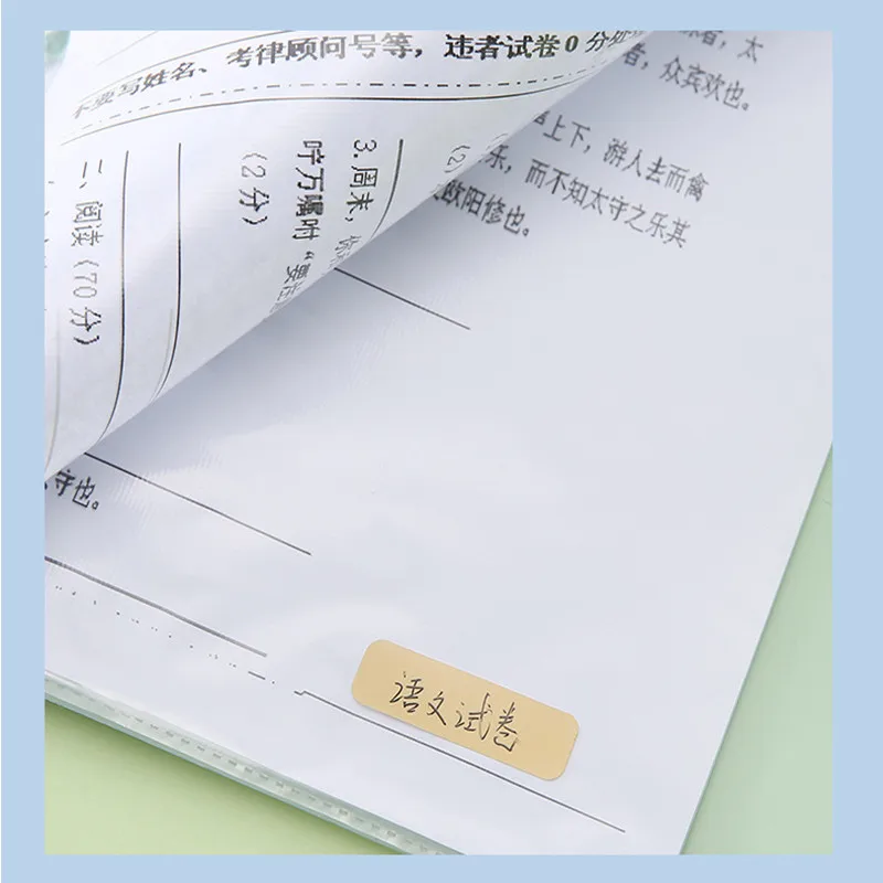 20 Sheets Expanding File Folder A3 Document Bag Extension Wallet File Sorting Organizer Office Storage Bags Business Briefcases