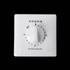 AC 220V Timer Switch Control Pump Mechanical Countdown Control Interruptor 30/60/120 Minutes For Fan, Water Heater, Pump, Router 6