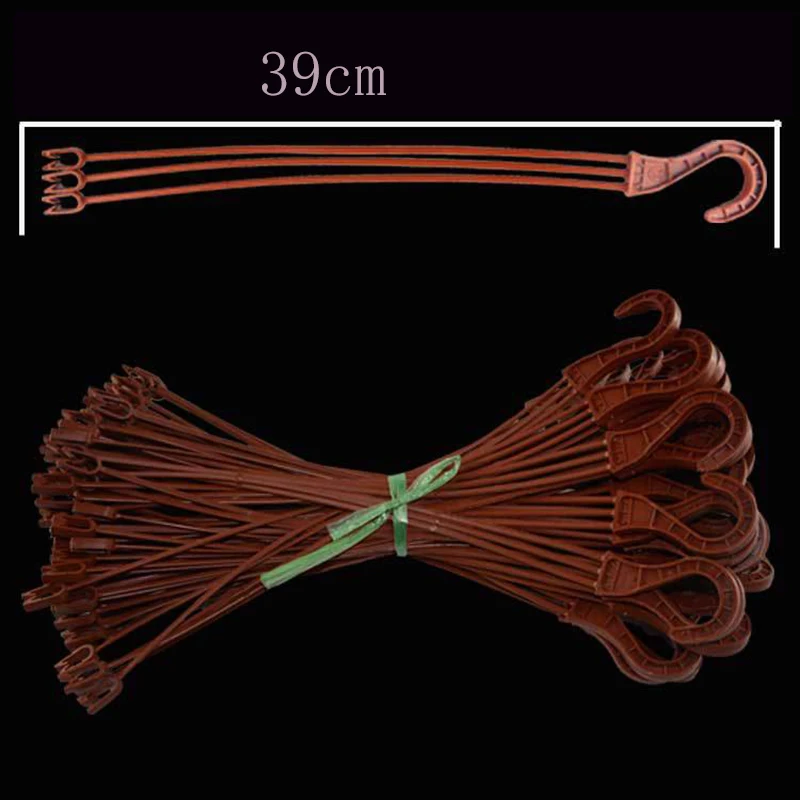 10582235820_1109865592