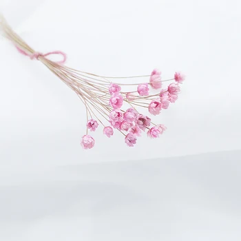 

30pcs Dried Flowers Mini Daisy Small Natural Dried Flowers Bouquet Wedding Home Decoration Photography Photo Backdrop Decor