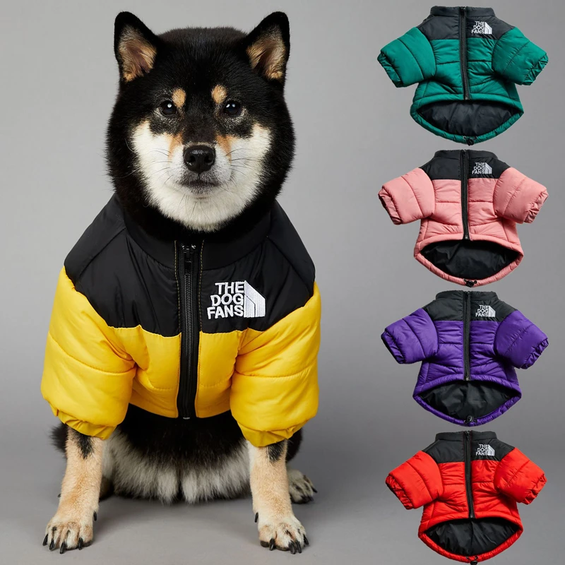 Dog Winter Clothes Pet Ropa Para Perro Clothing Cat Coat For Small Dogs  Windproof Waterproof Designer Cotton Thicken Warm Jacket|Dog Coats &  Jackets| - AliExpress