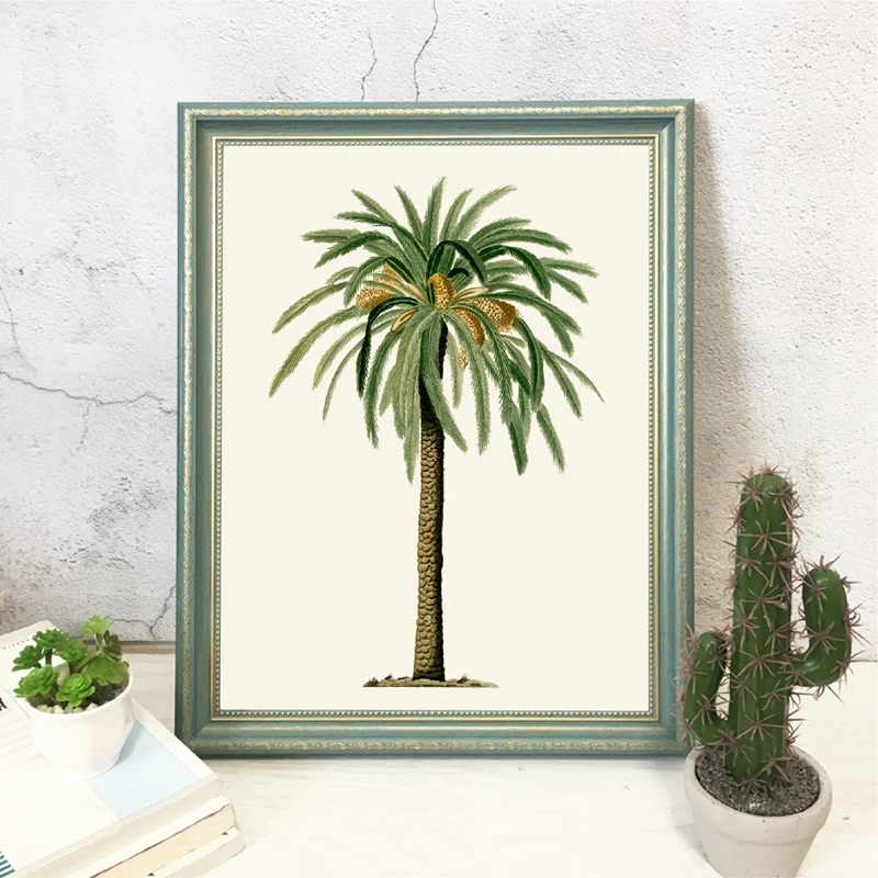 Vintage Palm Tree Illustrations Canvas Prints Home Decor