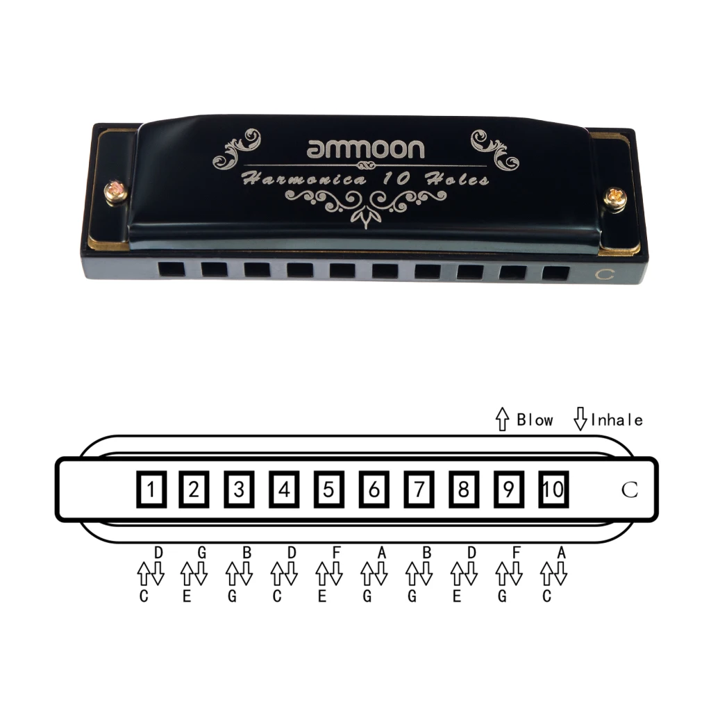 ammoon 10 Holes 20 Tones Blues Harmonica Mouth Organ Key of C with Storage Case for Kids Beginners Students Musical Gift