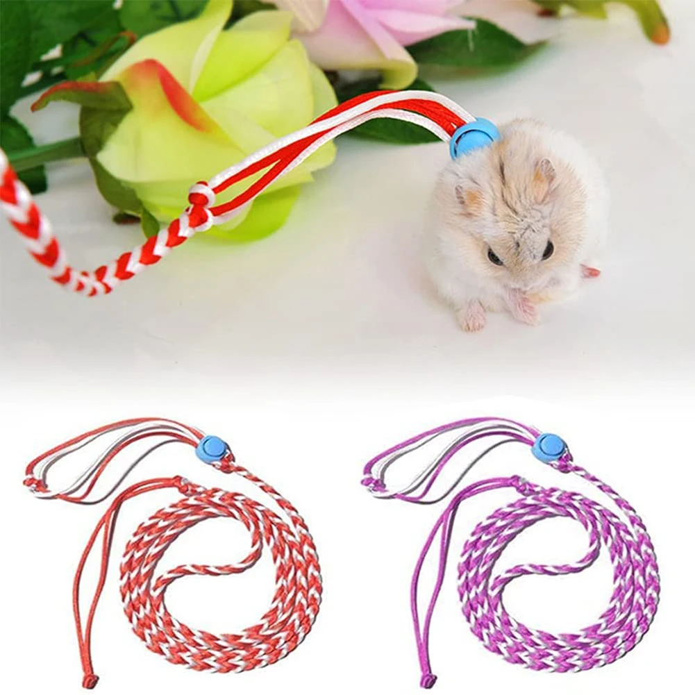 Hamster Leashes And Collars