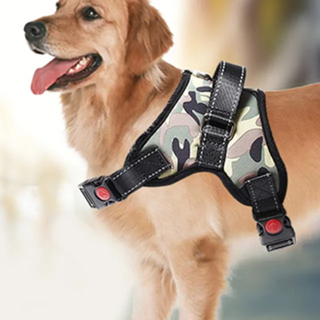 Dog lead accessories Clearance