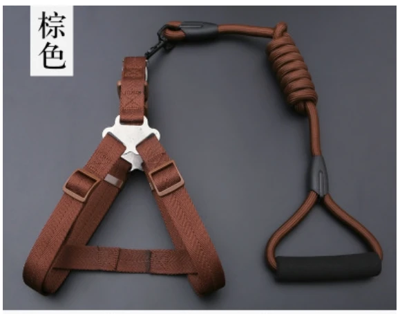 thumbnail image 1 of Juego de collares para perros pequeños, correa con hebilla ajustable, arnés para perros grandes, correa para caminar para chihuahuas, arnés para perros y mascotas, 1 of 5