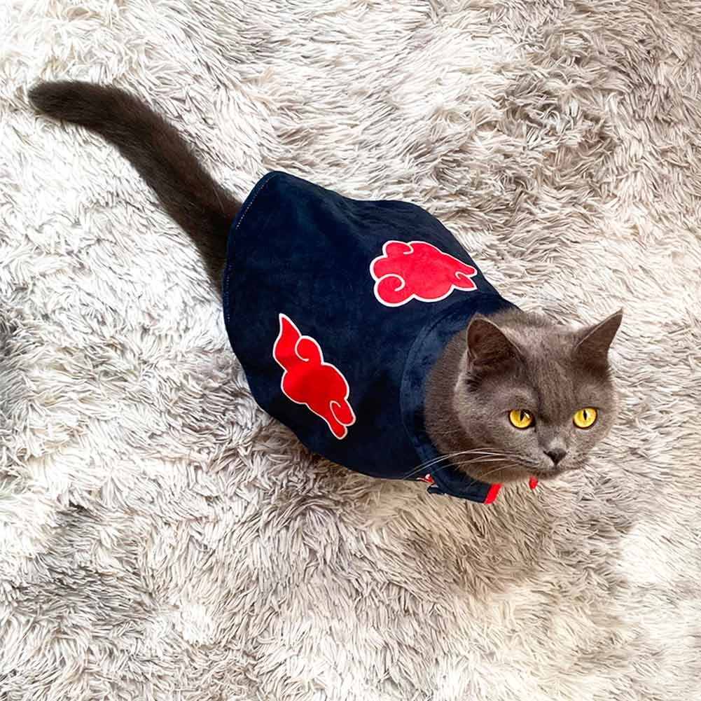Akatsuki cosplay capa vestido para animais de estimação gato|Fantasia de  Anime| - AliExpress