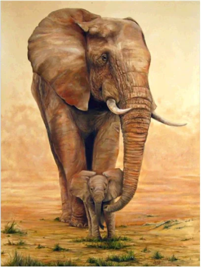 QQ截图20200622205526