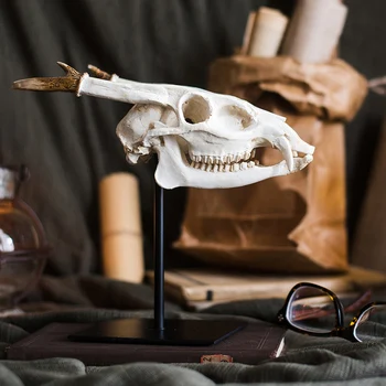 

Horned Dragon Animal Skull Resin Prehistoric Fossil Desktop Home Decoration Accessories Designer Style Display Ornaments