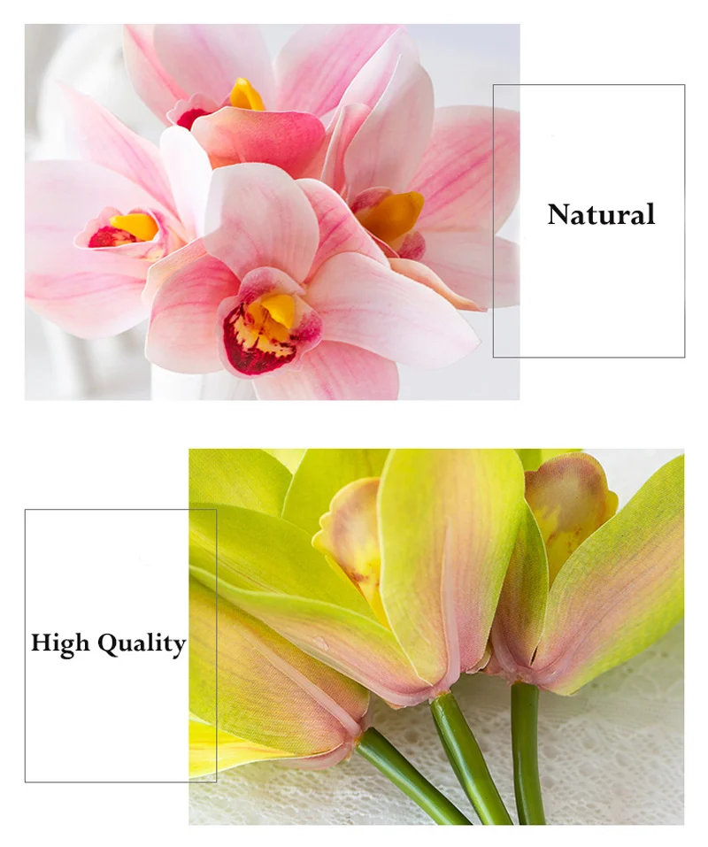 11183273288_97634003