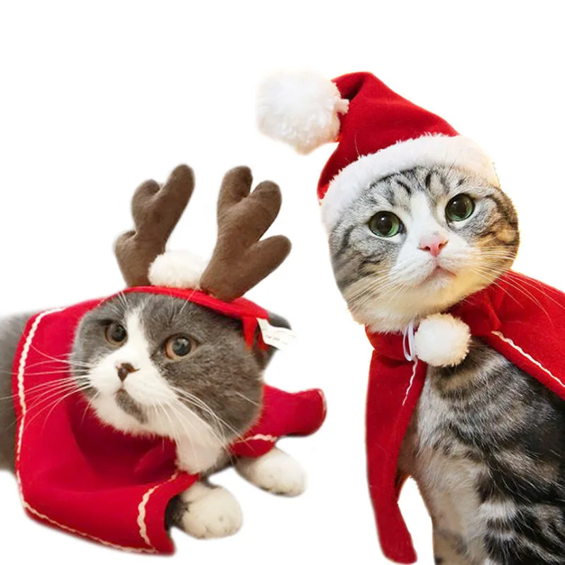 YOUNGE Gorro de peluche para mascotas perro gato decoración fiesta Papá Noel Navidad cálido invierno divertido y dulce para Navidad 
