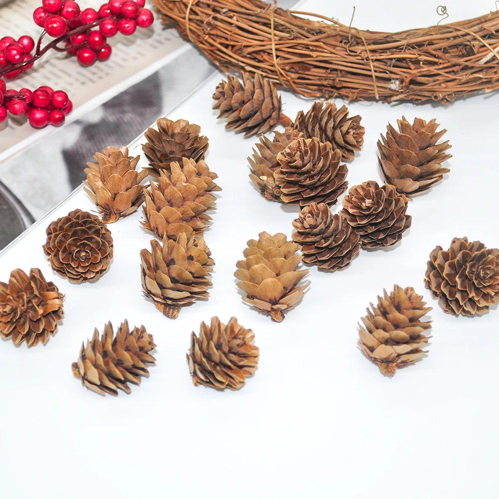 Natural pine cones (3)
