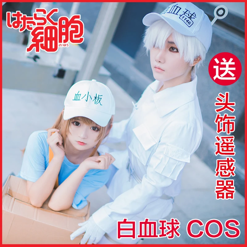 白血球主图4 (2)