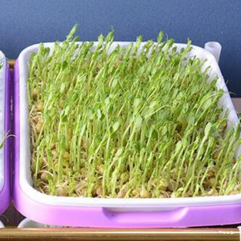 4 шт двухслойный поднос для проращивания семян корзинка для выращивания в гидропонике цветочный поднос для проращивания растений