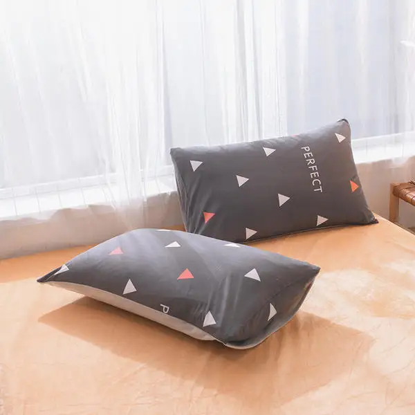 Зимний теплый хлопок/фланель AB двусторонний пододеяльник спальные мешки король Полный Королева двойной размер пододеяльник наволочка