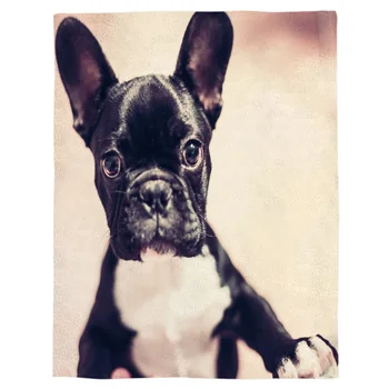 

Dog Animal Pet Black Cute Fight Coral Fleece Fuzzy Blankets on Bed Throws Bedsheet for Kids Girls