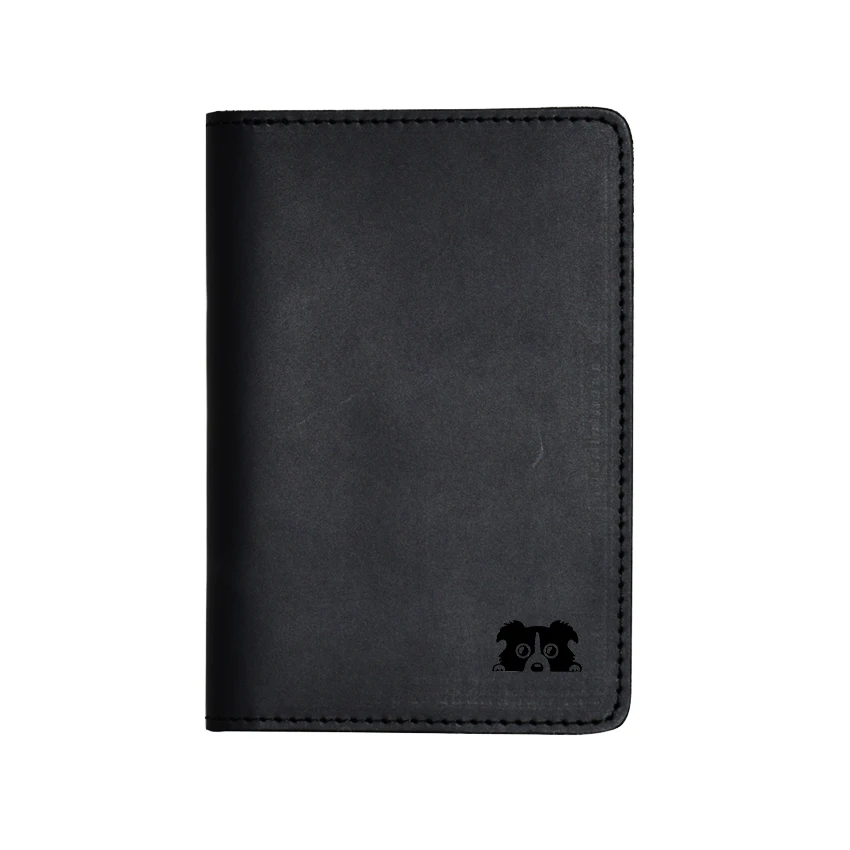 Border Collie DOG Personality 2