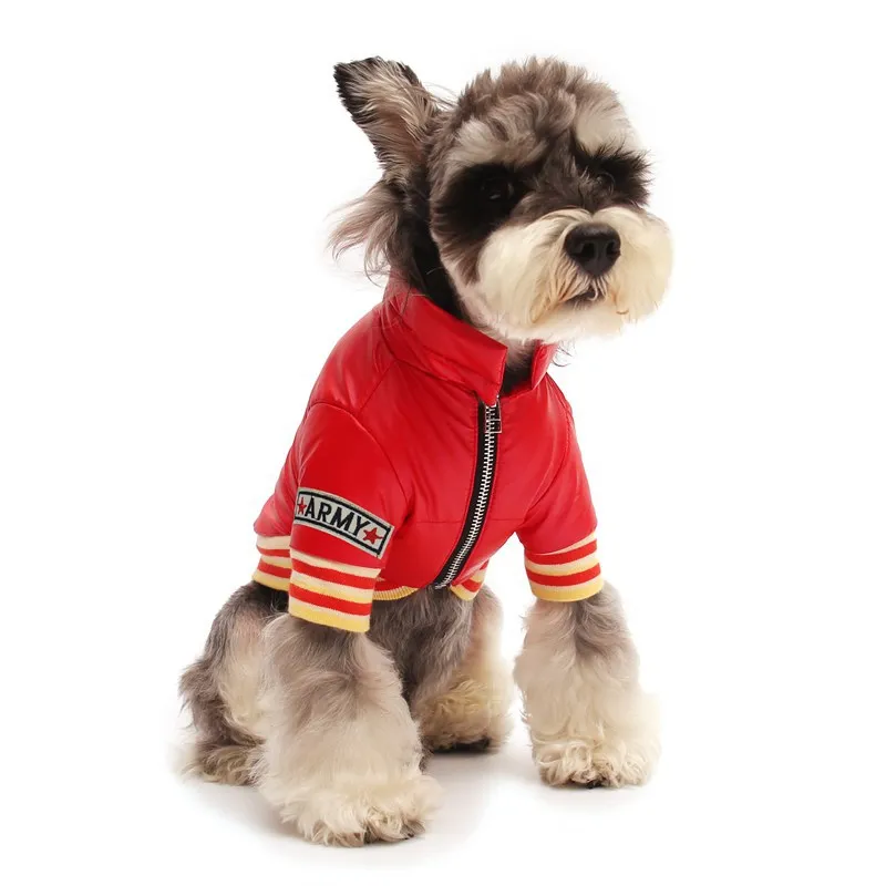 11389977090_1603432662