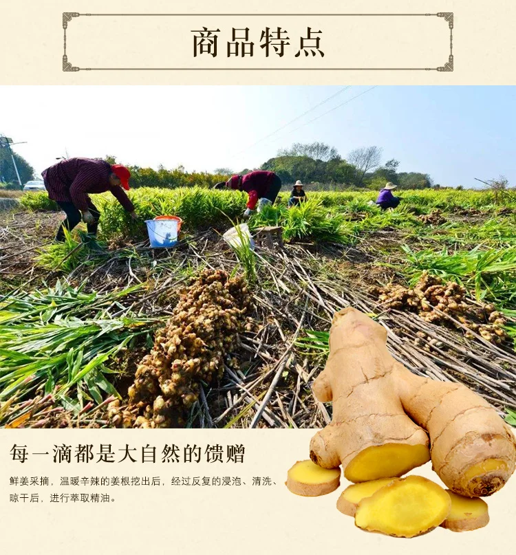 未标题-1_03