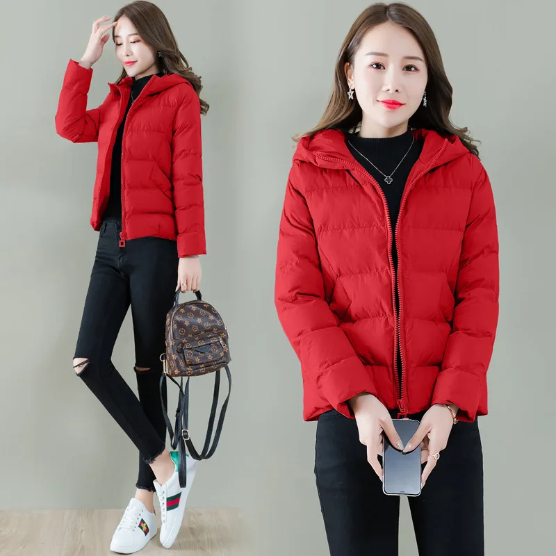 

Short Cotton-padded Clothes Women's 2019 Winter New Style WOMEN'S Dress Large Size down Jacket Cotton-padded Clothes Popular Coa
