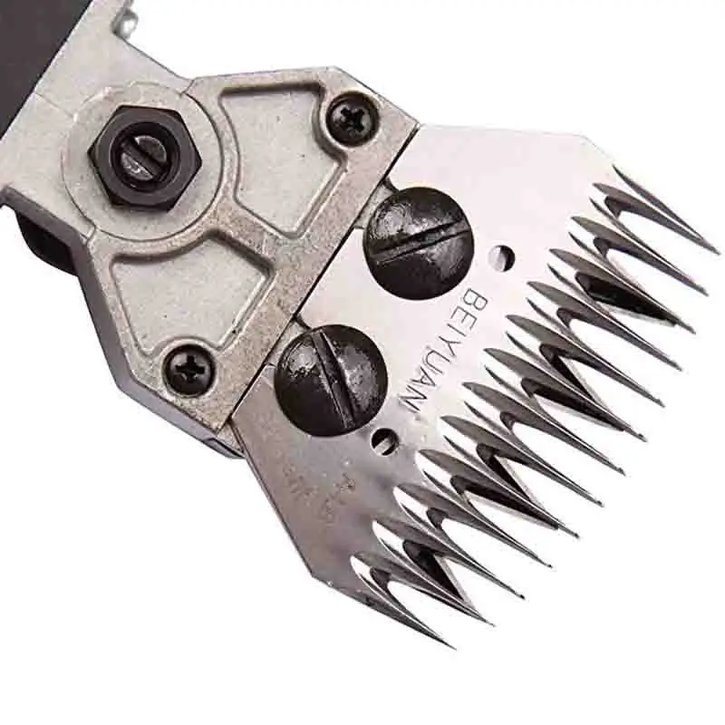 11308408770_201966867