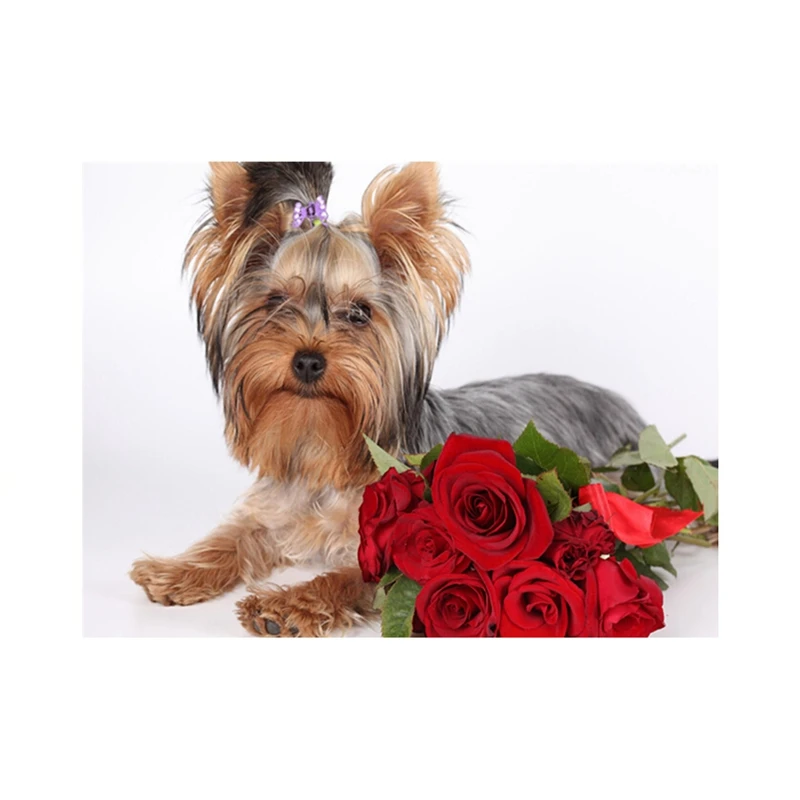 Puppy Dog with Rose 5D Diy Diamond Painting Cross Stitch for Beaded Embroidery Set Full Mosaic Crystal Pattern | Дом и сад