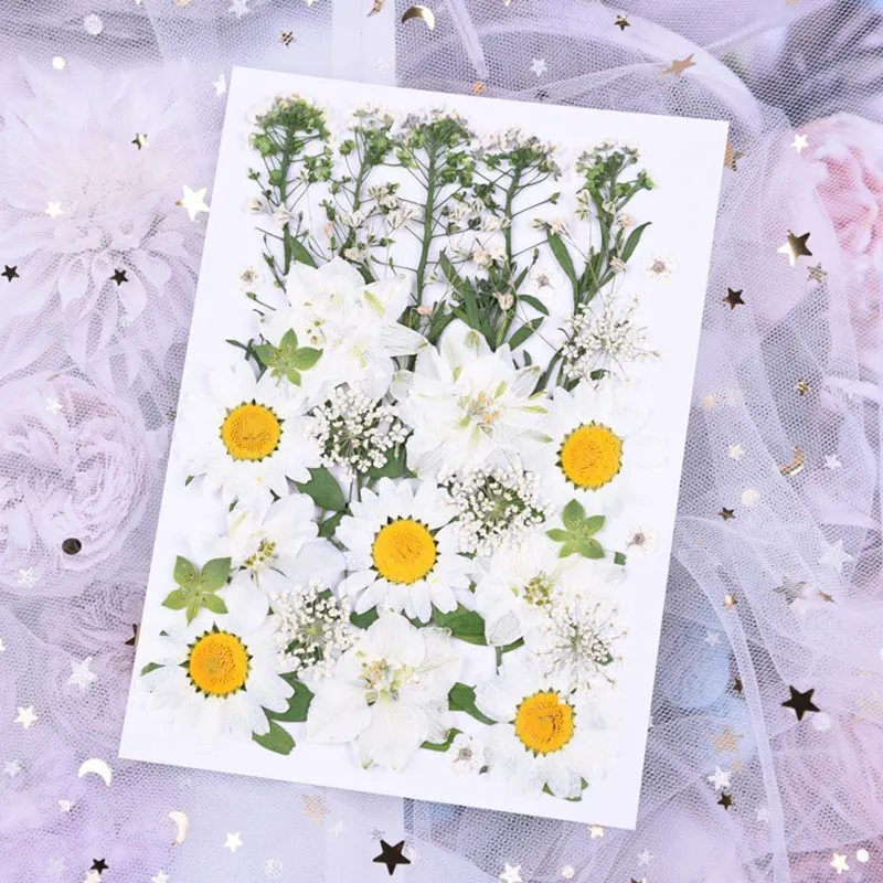 D款(8款花材,共36朵）飞燕花是米白，不是纯白的