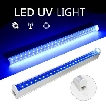 

30cm LED UV Light UVC Ultraviolet UV Light Tube Bulb Disinfection Lamp AC220V SMD2835 disinfect Indoor Lighting Kitchen