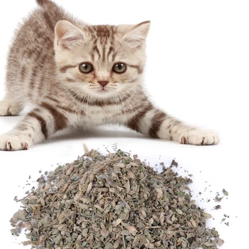 

Dry Natural Catnip Leaves Powder Kitten Snacks For Removing Hairballs Cat Mints Powder For Bad Breath 45ml/bottle.