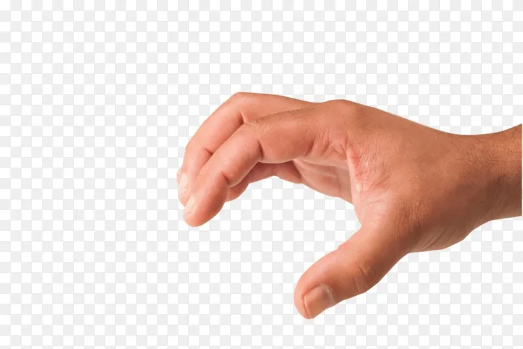 手剪贴画 手png手像png图片素材免费下载 图片编号 Png素材网