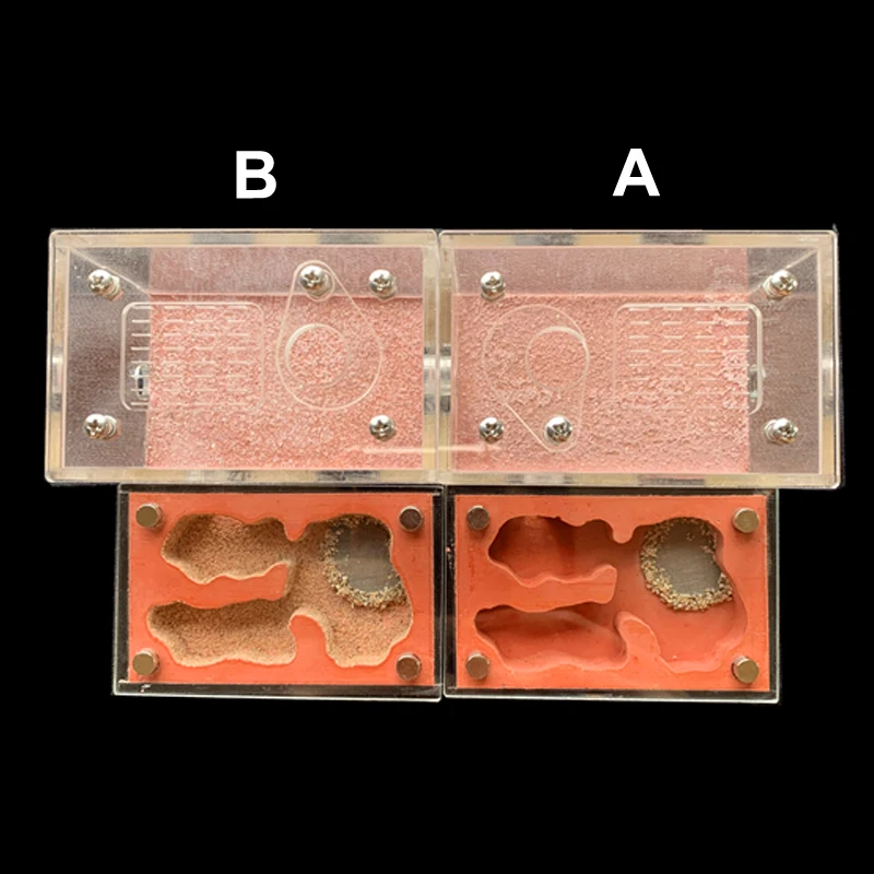 Новинка, сделай сам, акриловая плоская муравьиная ферма с областью кормления, экологическое Муравьиное гнездо, Муравьиное животное, муравьиная мастерская, замок, муравьиный домик, 11 см* 8 см* 6,7 см