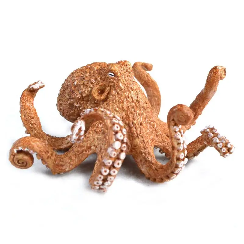 Октопус шоп. Octopus магазин. Octopus shop. Octopus shop. Аквалунг калипсо регулятор.