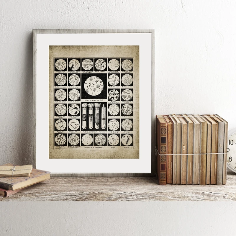 Bacteria Art Canvas Poster Office Decor