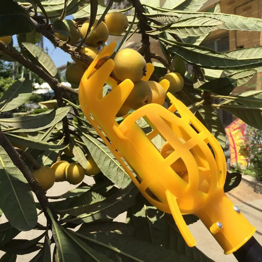 Fruit Picker Tool Fruit Grabber Picker Pole Basket Tree Telescoping Pole For Plum Orange Peach Mango Pomegra