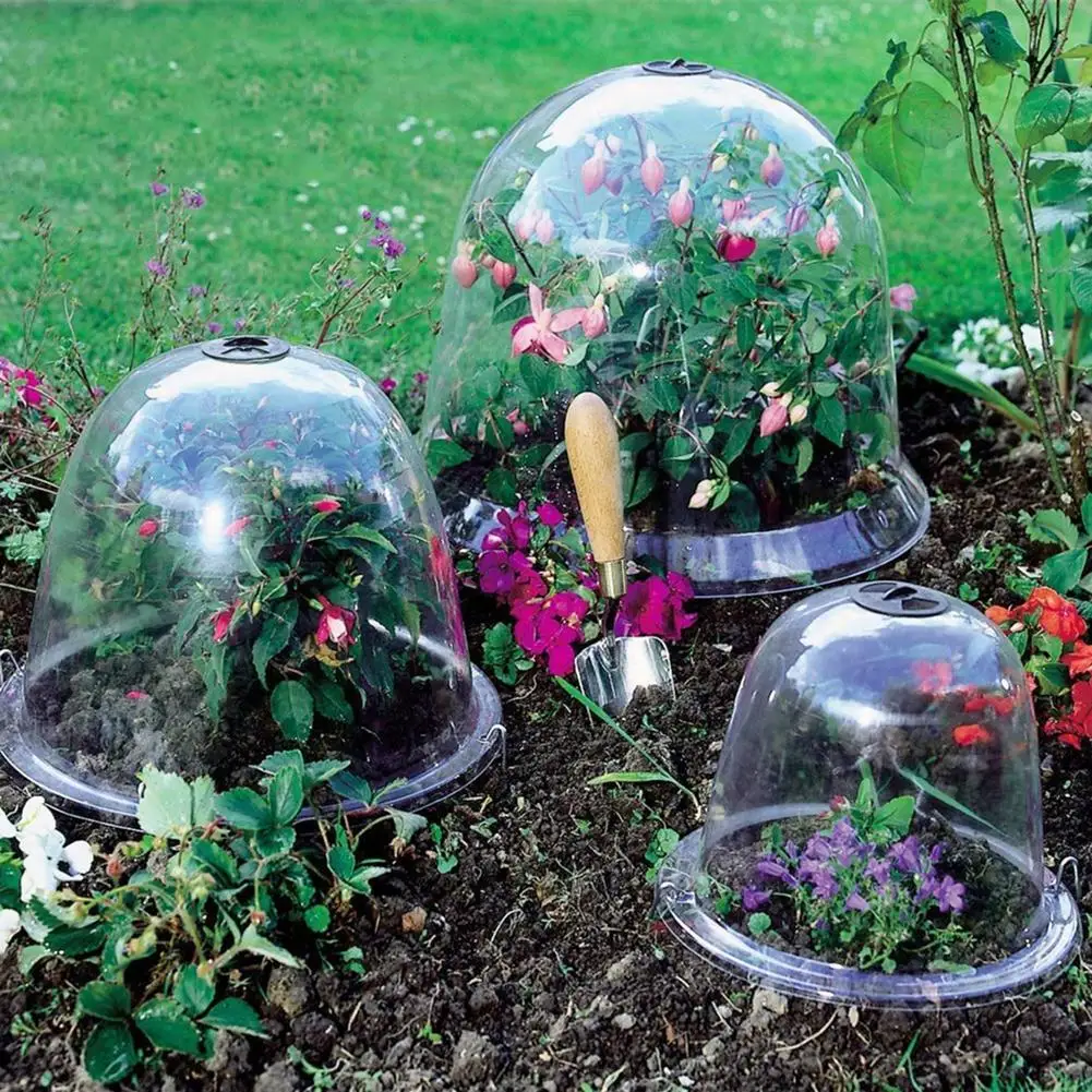 Plant Protector Cover for Plants Outdoors,Garden Accessories,Clear Germination Cover Frost Guard Bell Freeze Protector 6 Pcs Garden Cloche Plant Dome Bell Covers,Reusable Plastic Mini Greenhouse 