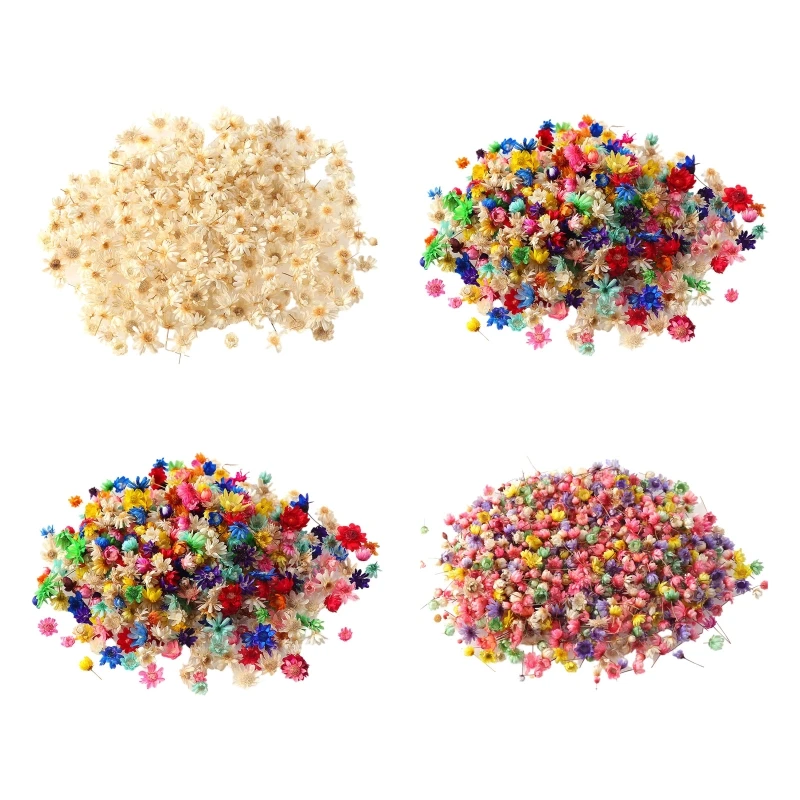 

1 Box Dried Flowers UV Resin Decorative Natural Dry Flower Stickers 3D Beauty Decal Epoxy Mold DIY Filling Making Craft