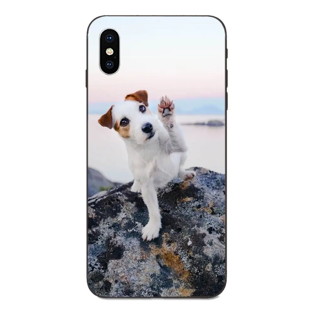 Термополиуретановый Чехол Джек Рассел терьер для Samsung Galaxy A3 A5 A6 A6s A7 A8 A9 A10 A20E A30 A40 A50