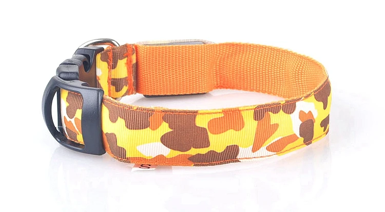 dog collar (16)