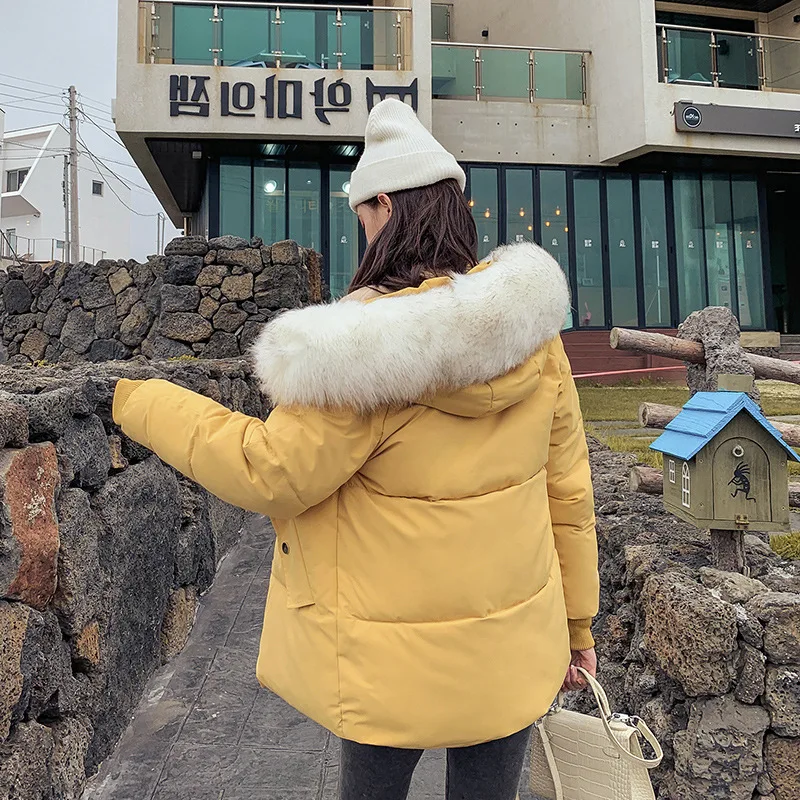 

Short Cotton Coat Women's Loose-Fit BF Large Fur Collar Cotton-padded Clothes 2019 New Style Winter Fashion down Jacket Cotton-p