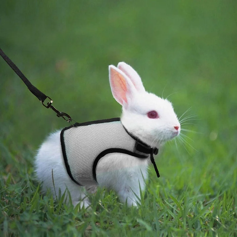 Rabbits Hamster Vest Harness Leash Bunny Mesh Chest Strap Correa Arnes de Conejo 