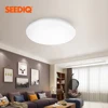 Ceiling Lights & Fans