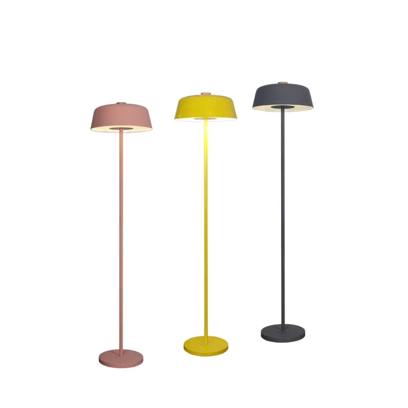 

Dimmable LED Floor Lamp with Acrylic Diffuser / Made with Iron in Yellow or Pink Coating Finish