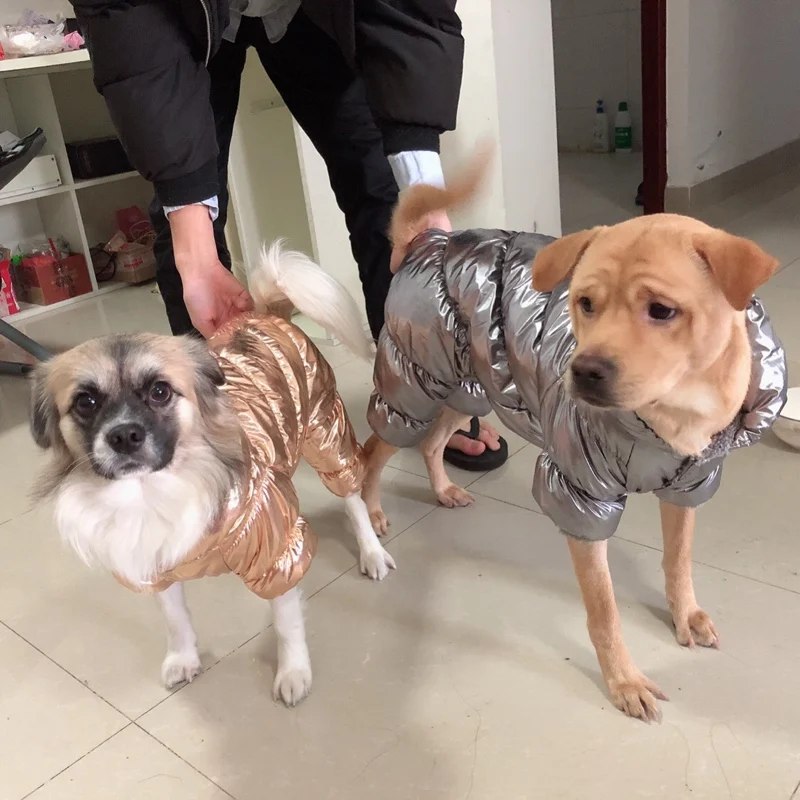 O1CN01JUPzzg1gfRgRtrUt1_!!0-rate