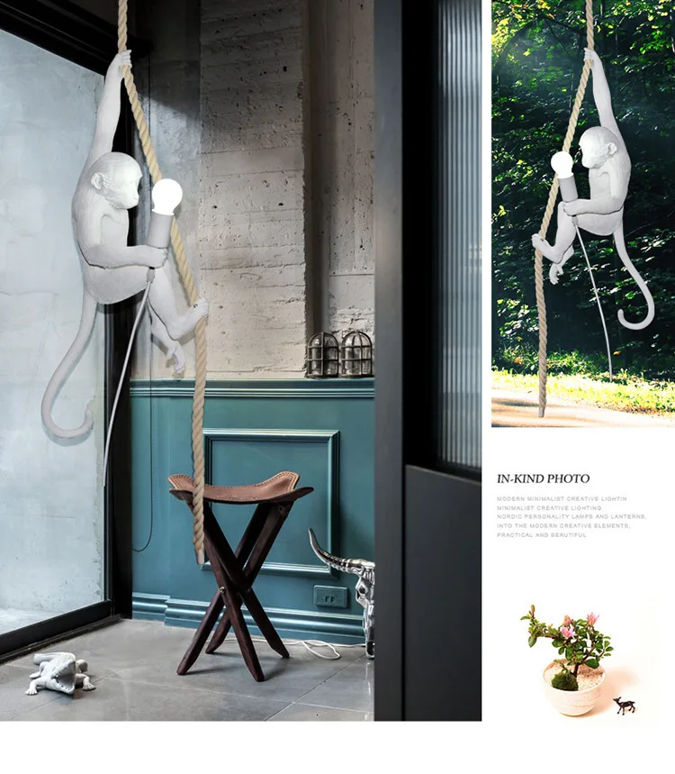 4992244806_1005287928