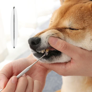 

Dog Teeth Cleaning Tools Pet Grooming Whitening Pen Double Sided Tartar Remover Dental Stones Stainless Steel Scraper PetProduct