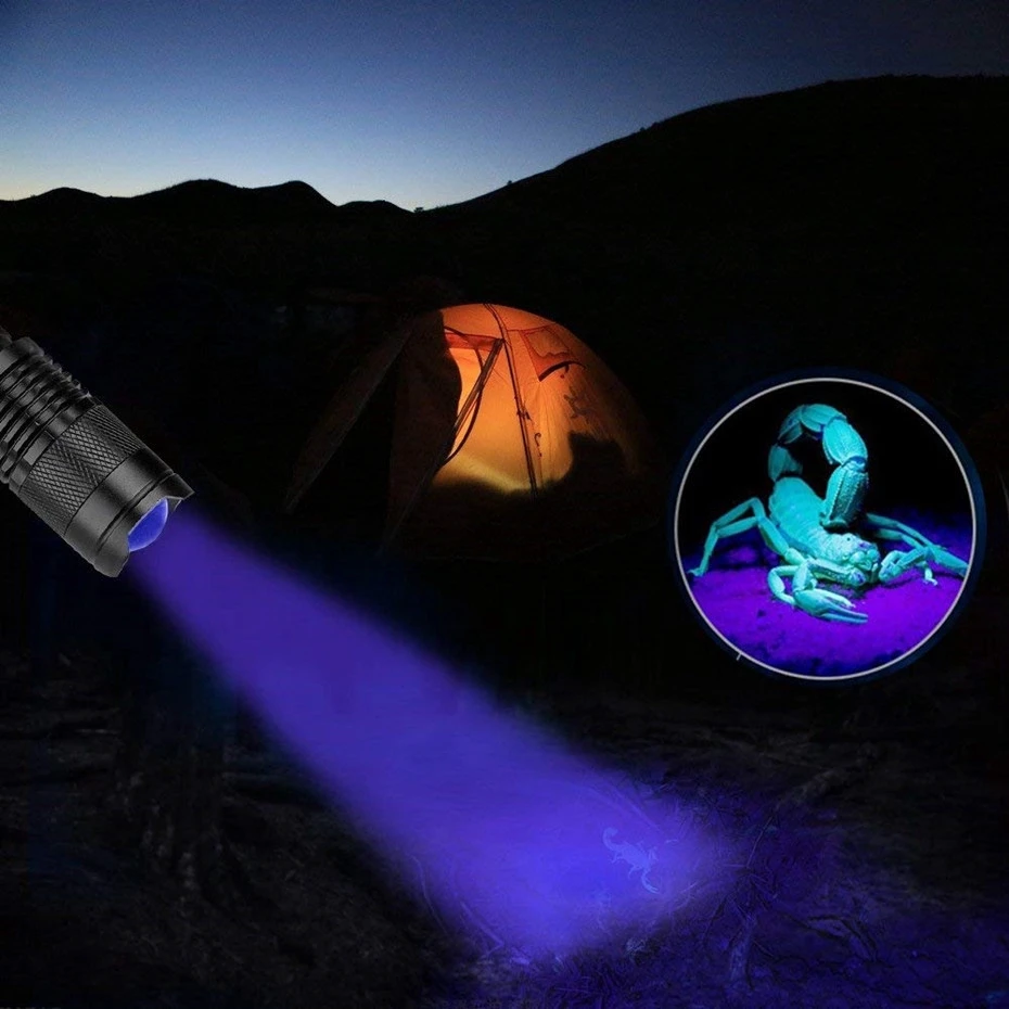 PROFORUS Linternas UV recargables, linterna ultravioleta de 365 nm y 395  nm, doble fuente de luz UV, linterna de luz negra, antorcha 2 en 1 con zoom