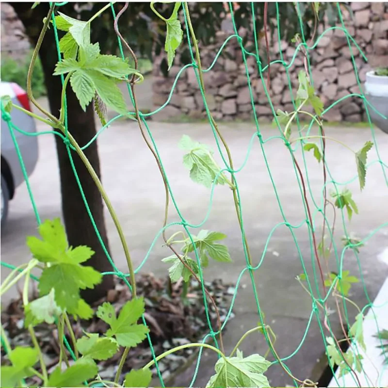 45/36/24 Strands of 10x10cm Cell Plant Climbing Net Garden plant Shelves Net Vegetable Flower Net Garden Weaving Grow Frame 5