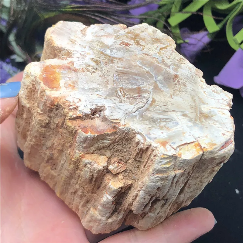 Природный окаменелый деревянный окаменелый камень сырой Рок Кристалл кварц минеральный с лечебным действием, образцы рейки домашний декор - Цвет: 383g