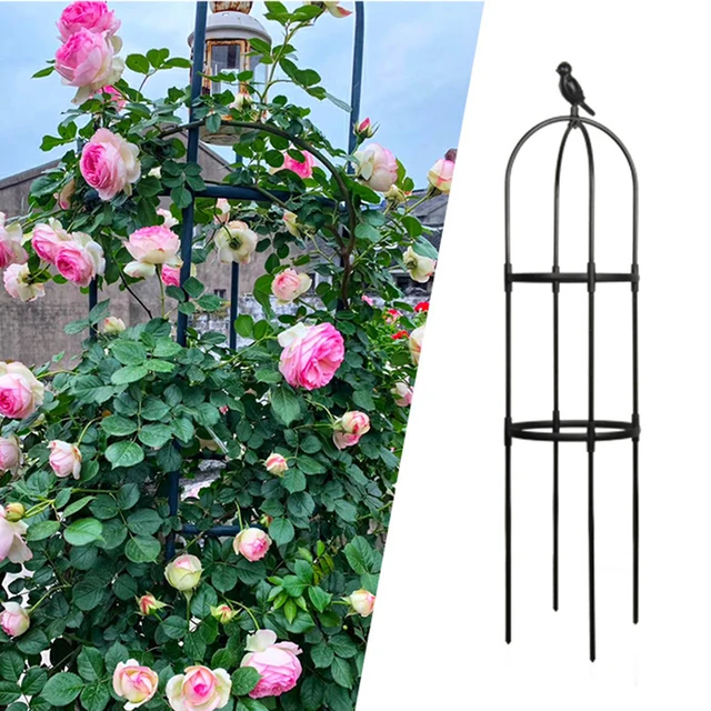 Kerti Rácsos Állványok Polc Növényi Tartó Keret Acél Tartós Clematis Rózsa Növények Szőlő 150 Cm -Es Paradicsom Hegymászó Rack